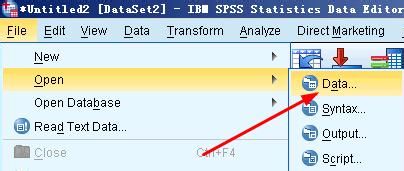 spss20.0中excel和txt格式的数据如何导入