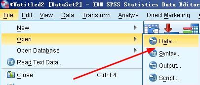 spss20.0中excel和txt格式的数据如何导入