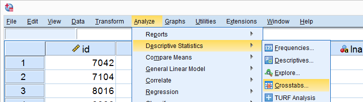 SPSS 卡方独立性检验菜单