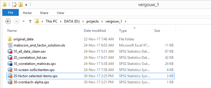 组织良好的 SPSS 项目文件夹截图