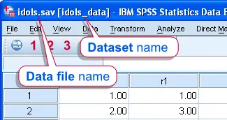 SPSS 数据集与数据文件